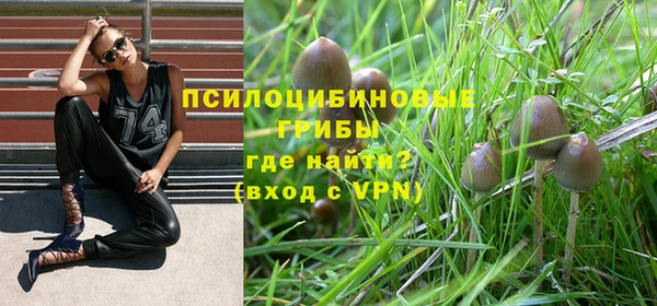 гидра Нея
