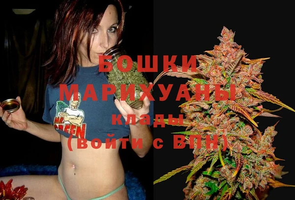 стаф Навашино