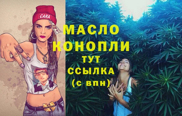 гидра Нея