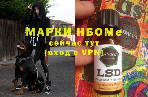 стаф Навашино