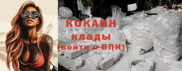 гидра Нея