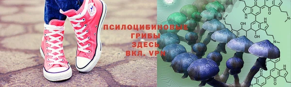 гидра Нея