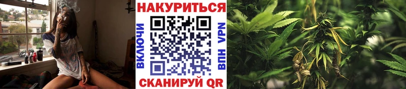 Каннабис OG Kush Сысерть